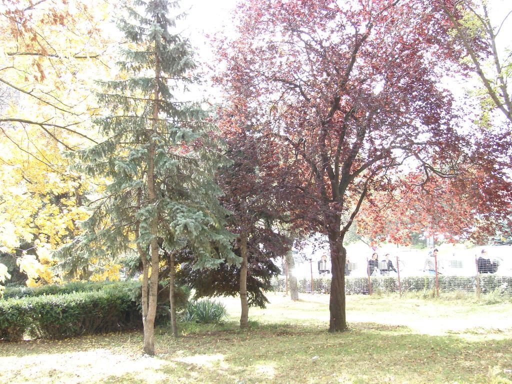 Central City Ap Sibiu Ngoại thất bức ảnh